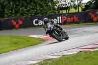 Middle Group Black Bikes